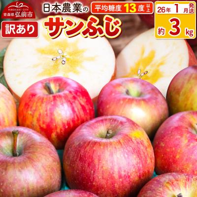 ふるさと納税 弘前市 りんご [26年1月出荷] サンふじ 約3kg 訳あり|24_nng-120301ah