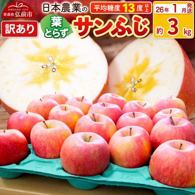 ふるさと納税 弘前市 りんご [26年1月出荷] 葉とらずサンふじ 約3kg 訳あり|24_nng-130301ah