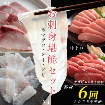 ふるさと納税 大月町 [定期便 6回] 本マグロ タイ ブリ 刺身 本まぐろ 真鯛 ぶり 堪能セット 産地直送 冷凍