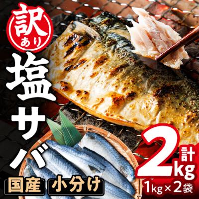 ふるさと納税 佐伯市 <訳あり・不揃い> 塩さば フィーレ (計2kg・1kg×2袋)