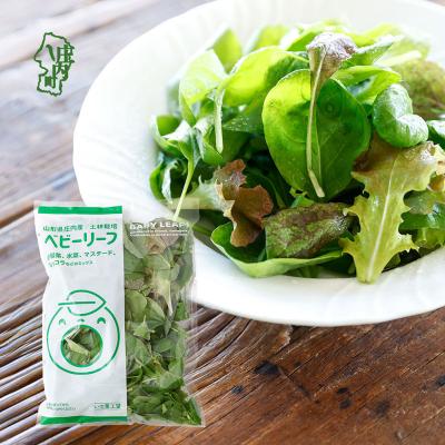 ふるさと納税 庄内町 庄内産 ベビーリーフミックス 70g×1袋 サラダ スムージー 若葉 野菜 生野菜 新鮮 冷蔵