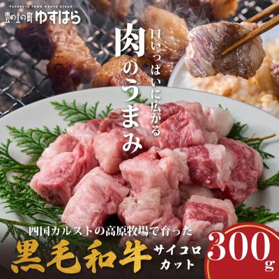 ふるさと納税 梼原町 低温でも脂身がとろけるゆすはら牛サイコロカット 300g