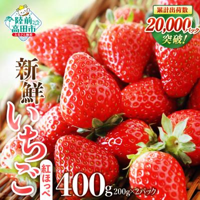 ふるさと納税 陸前高田市 [先行受付] 新鮮いちご 紅ほっぺ 約400g (200g×2パック) 苺 フルーツ 旬 訳あり