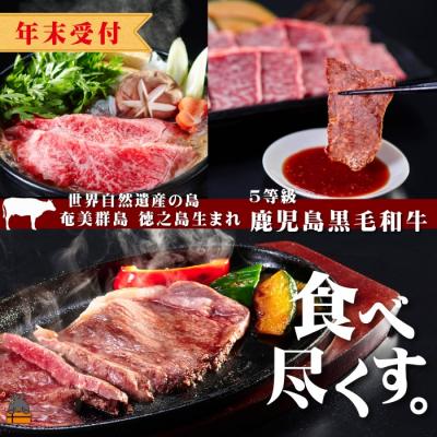 ふるさと納税 徳之島町 [年末受付]世界自然遺産の島。徳之島生まれ 5等級 鹿児島黒毛和牛 食べ尽くす。