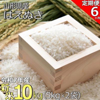 ふるさと納税 長井市 [定期便6ヶ月][令和7年産新米]山形県産「はえぬき」10kg(5kg×2袋)×6ヶ月