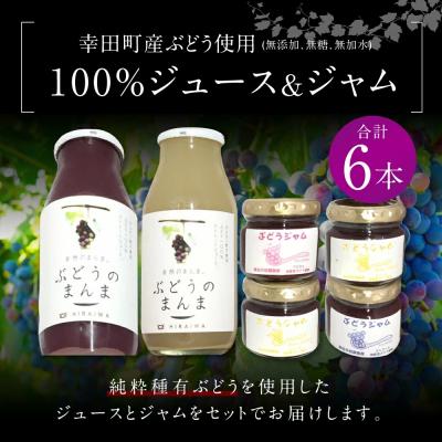 ふるさと納税 幸田町 ぶどう100%ジュース&amp;ジャム詰め合わせ合計6本セット ジュース180ml×2本 ジャム90g×4本
