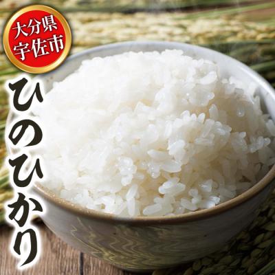ふるさと納税 宇佐市 <期間限定・数量限定>宇佐市産ひのひかり 5kg[119000451][カネガエ]