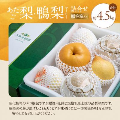 ふるさと納税 瀬戸内市 あたご梨・鴨梨(ヤーリー)詰合せ 合計約4.5kg 贈答箱 岡山県産 [No.5735-0951]の画像