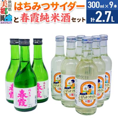 ふるさと納税 美郷町 炭酸飲料 日本酒 はちみつサイダー6本と春霞純米酒3本のセット|01_amd-620101ca