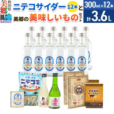 ふるさと納税 美郷町 炭酸飲料 ニテコサイダー12本と美郷の美味しいものセット|01_amd-650101a