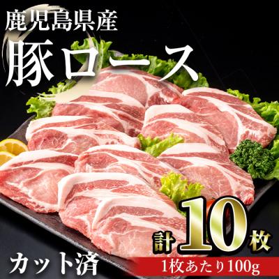ふるさと納税 曽於市 鹿児島県産豚ロース 100g カット(計1kg・100g×10枚)
