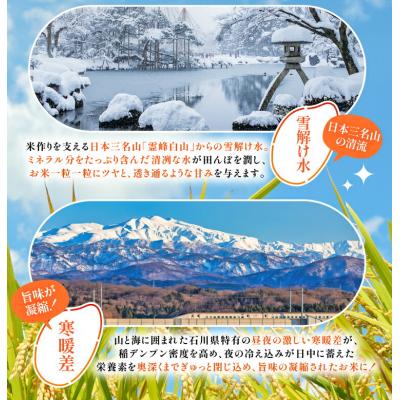 ふるさと納税 宝達志水町 定期便 無洗米 石川米 こしひかり 5kg 3回 総計15kg [宝達志水町 38601336] |  | 03