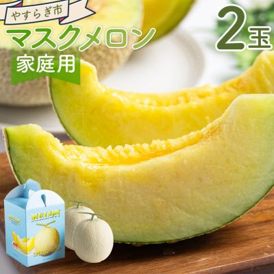 ふるさと納税 香南市 [令和8年3月発送開始]マスクメロン2玉入り 訳あり 家庭用 青肉メロン 青肉 yr-0089
