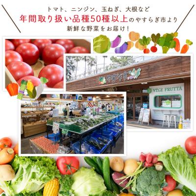 ふるさと納税 香南市 【2027年1月以降発送】フルーツトマト 3kg 家庭用