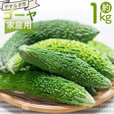 ふるさと納税 香南市 [発送開始]ゴーヤ 1kg 家庭用 野菜 yr-0073