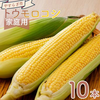 ふるさと納税 香南市 [2026年6月中旬発送開始]とうもろこし 10本 訳あり 家庭用 夏野菜 yr-0076