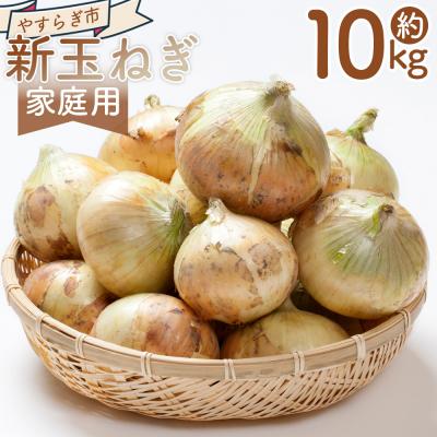 ふるさと納税 香南市 [2026年3月以降順次発送]新玉ねぎ 10kg 家庭用 10キロ yr-0080