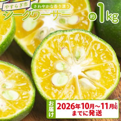 ふるさと納税 香南市 さわやかな香り漂うシークワーサー 1kg yr-0106