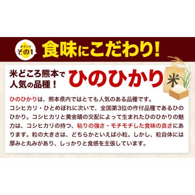 ふるさと納税 氷川町 令和7年産 白米 [隔月6回定期便] ひのひかり 10kg[お申込み翌月から出荷]