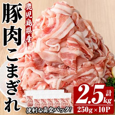 ふるさと納税 いちき串木野市 鹿児島県産 豚 こまぎれ 計2.5kg!(250g×10パック)冷凍 国産 真空 小分け