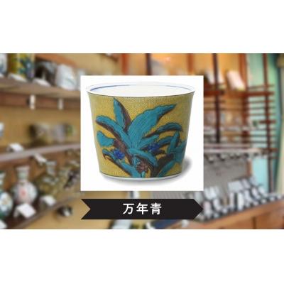 ふるさと納税 小松市 【かわいい九谷焼】 フリーカップ (そば猪口) (絵柄:万年青)【打田平太郎商店】_2