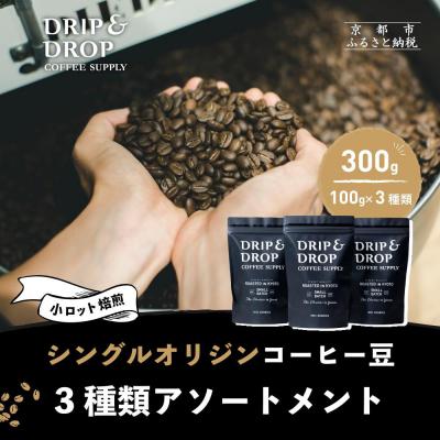 ふるさと納税 京都市 [DRIP&amp;DROP]シングルオリジンコーヒーアソートメント コーヒー(ペーパーフィルター挽き)