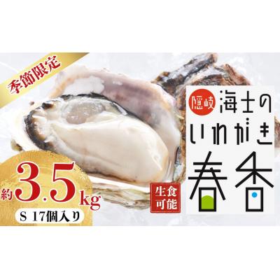 ふるさと納税 海士町 先行予約受付:[2026年 3月中旬以降順次お届け][生のいわがき Sサイズ17個] 岩牡蠣 生牡蠣