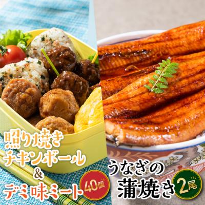 ふるさと納税 新宮町 うなぎの蒲焼2尾&amp;デミ味ミート&amp;照り焼きチキンボール40個(2種×20個)