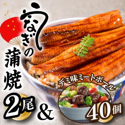 ふるさと納税 新宮町 うなぎの蒲焼2尾&amp;デミ味ミートボール40個[新宮町Aセット]