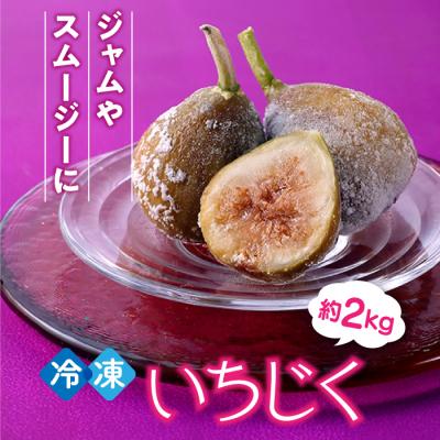 ふるさと納税 新宮町 冷凍いちじく約2キロ[とよみつひめ]