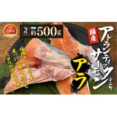 ふるさと納税 小山町 小山町産アトランティックサーモン(アラ×2パック)