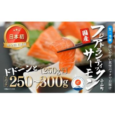 ふるさと納税 小山町 フジアトランティックサーモン(1パック)