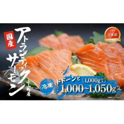 ふるさと納税 小山町 小山町産アトランティックサーモン(4パック)