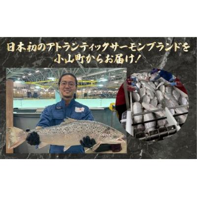 ふるさと納税 小山町 フジアトランティックサーモン(1尾3.0〜3.5kg未満)セミドレスの画像