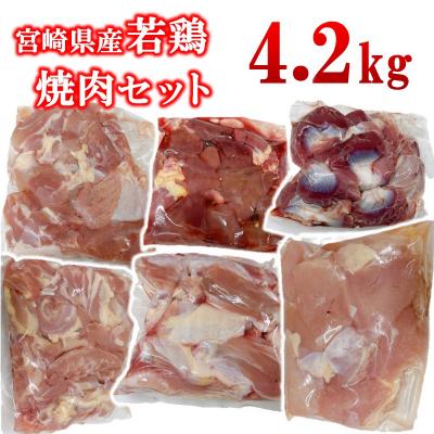 ふるさと納税 西都市 宮崎県産若鶏6種15パック合計4.2kgセット 鶏肉小分け[2979]