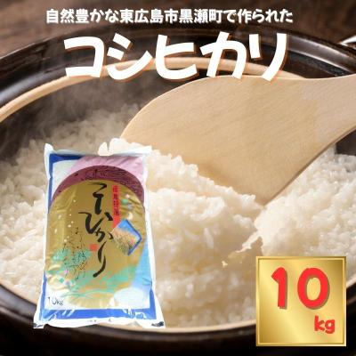 ふるさと納税 東広島市 東広島市産米 令和7年産 コシヒカリ 10kg