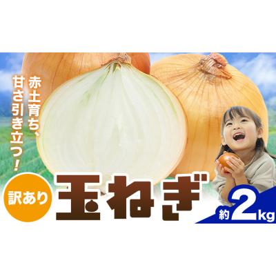 ふるさと納税 東員町 玉ねぎ 約2kg 株式会社シグマサポート[2026年4月下旬-6月上旬頃出荷]