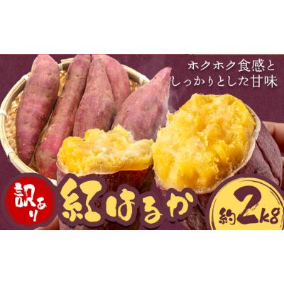 ふるさと納税 東員町 訳あり さつまいも 紅はるか 約2kg 株式会社シグマサポート[10月中旬-12月中旬頃出荷]