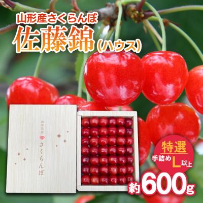ふるさと納税 山形市 さくらんぼ 佐藤錦 (ハウス)特選 手詰め L以上約600g[令和8年産先行予約]FS25-709