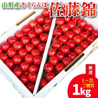 ふるさと納税 山形市 [厳選 ご贈答 バラ詰め]山形産さくらんぼ佐藤錦(L〜2L)[令和8年産先行予約] FS25-585