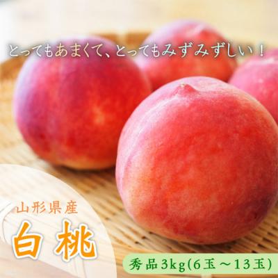 ふるさと納税 山形市 山形市産 白桃 秀品 約3kg(6〜13玉)「硬い桃」[令和8年産先行予約]FS23-731
