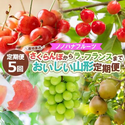 ふるさと納税 山形市 [定期便5回]さくらんぼからラ・フランスまで おいしい山形定期便 [令和8年産]FS24-717