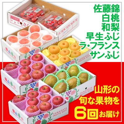 ふるさと納税 山形市 [定期便6回]★フルーツ王国山形★[令和8年産]FS25-667
