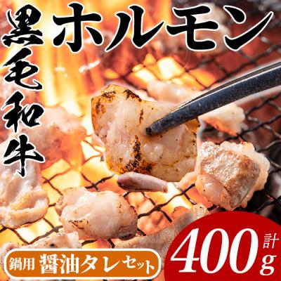 ふるさと納税 曽於市 黒毛和牛ホルモン(200g×2P)/醤油タレ(30g×3P)
