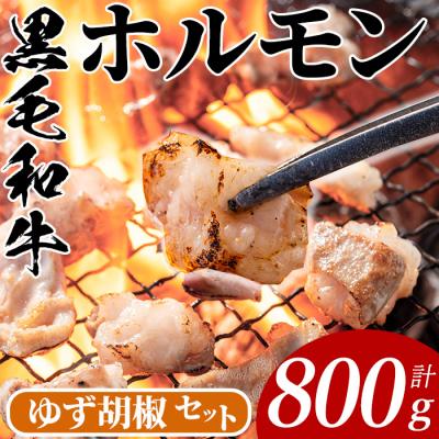 ふるさと納税 曽於市 黒毛和牛ホルモン(400g×2P)/ゆず胡椒1個