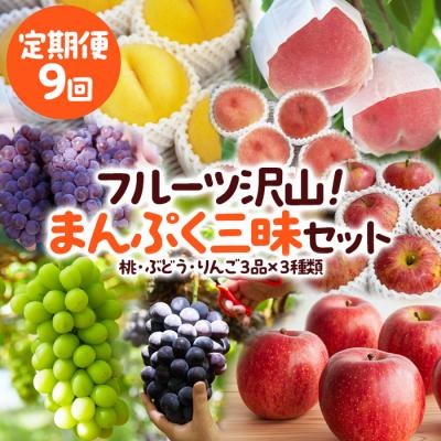 ふるさと納税 山形市 [定期便9回]フルーツ沢山!まんぷく三昧セット[令和8年産]FU23-849