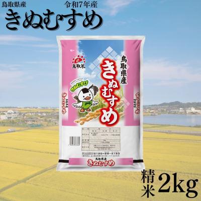 ふるさと納税 湯梨浜町 鳥取県産きぬむすめ◇精米2kg◇令和7年産(385KZ.)