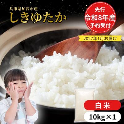 ふるさと納税 加西市 【令和8年産 先行受付】しきゆたか 白米 10kg