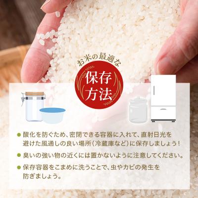 ふるさと納税 加西市 【令和8年産 先行受付】しきゆたか 白米 10kg
