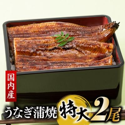 ふるさと納税 新宮町 [国内産][有頭]うなぎ蒲焼 (特大) 2尾 <計500g前後>